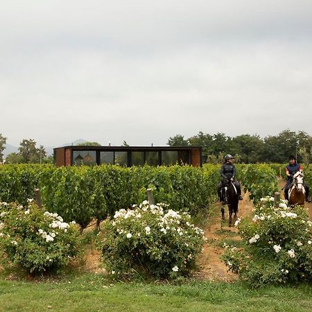 Vibo Wine Lodge At Viu Manent Santa Cruz Dış mekan fotoğraf