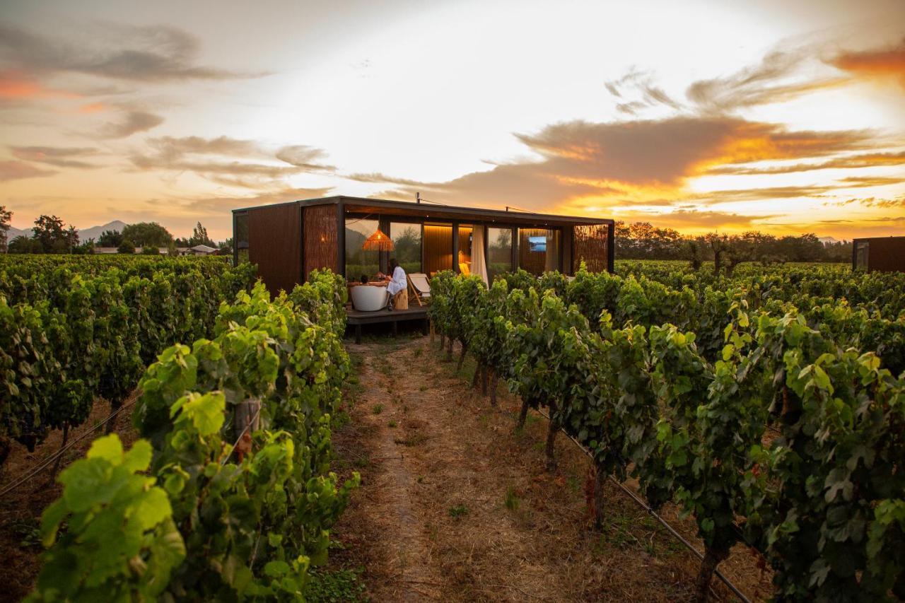 Vibo Wine Lodge At Viu Manent Santa Cruz Dış mekan fotoğraf