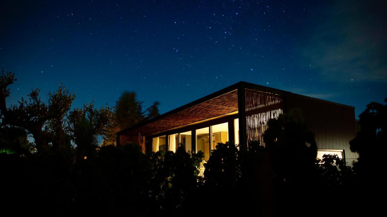 Vibo Wine Lodge At Viu Manent Santa Cruz Dış mekan fotoğraf