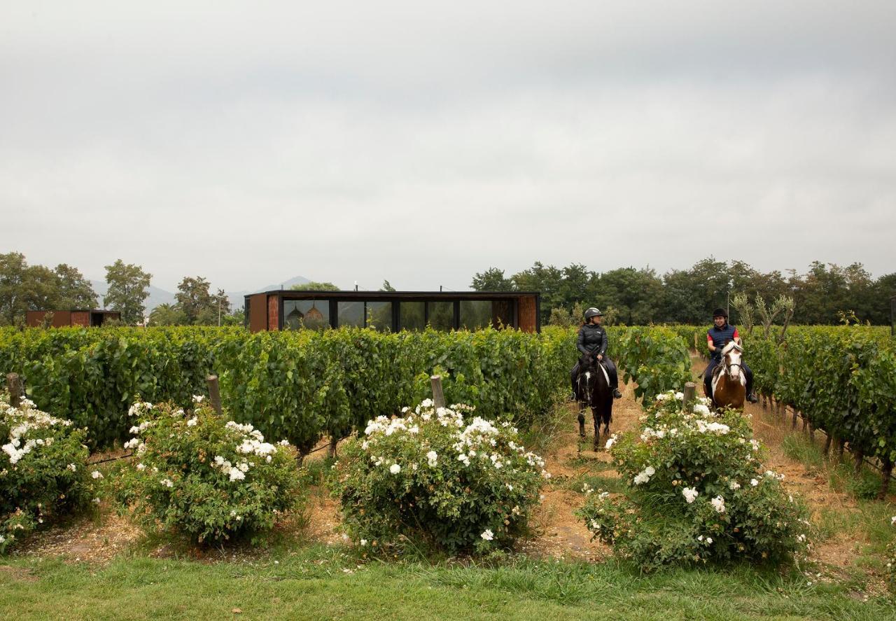 Vibo Wine Lodge At Viu Manent Santa Cruz Dış mekan fotoğraf