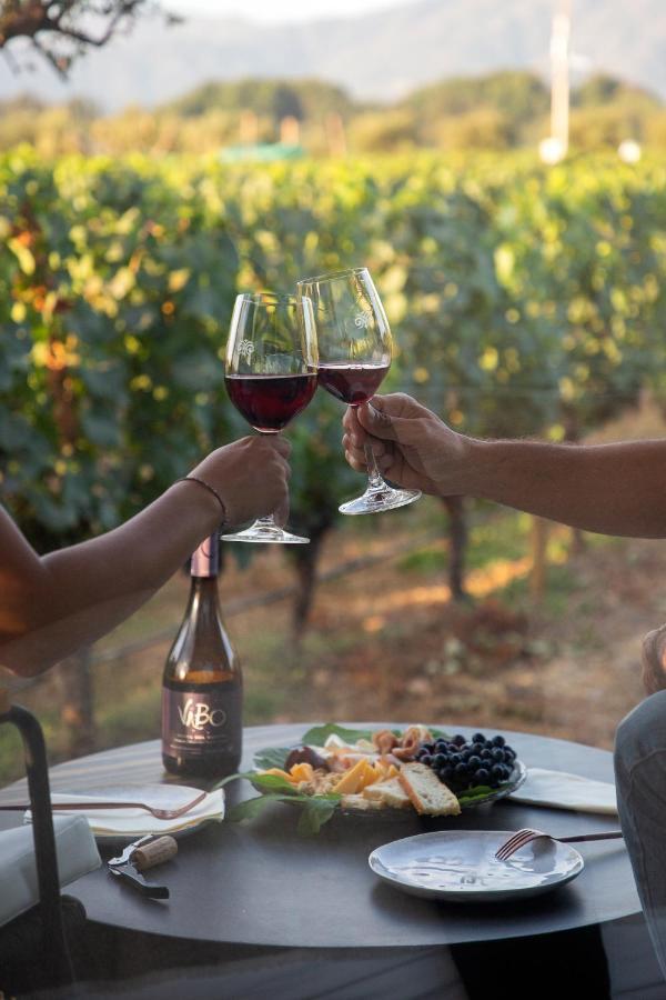 Vibo Wine Lodge At Viu Manent Santa Cruz Dış mekan fotoğraf