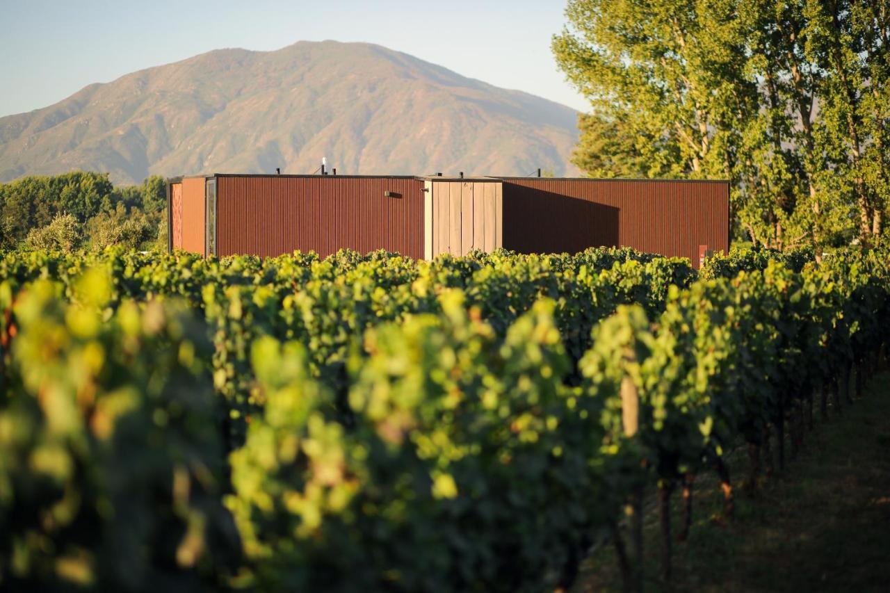 Vibo Wine Lodge At Viu Manent Santa Cruz Dış mekan fotoğraf
